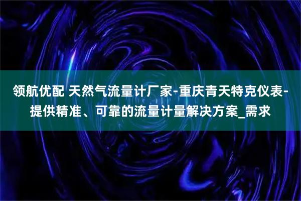 领航优配 天然气流量计厂家-重庆青天特克仪表-提供精准、可靠的流量计量解决方案_需求