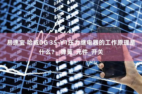 易速宝 哈威DG 35-Y1压力继电器的工作原理是什么?_弹簧_元件_开关