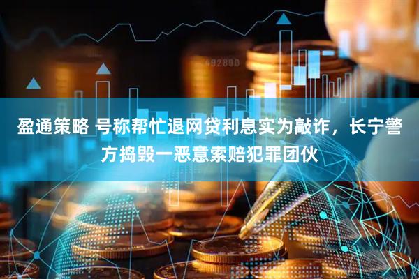 盈通策略 号称帮忙退网贷利息实为敲诈，长宁警方捣毁一恶意索赔犯罪团伙